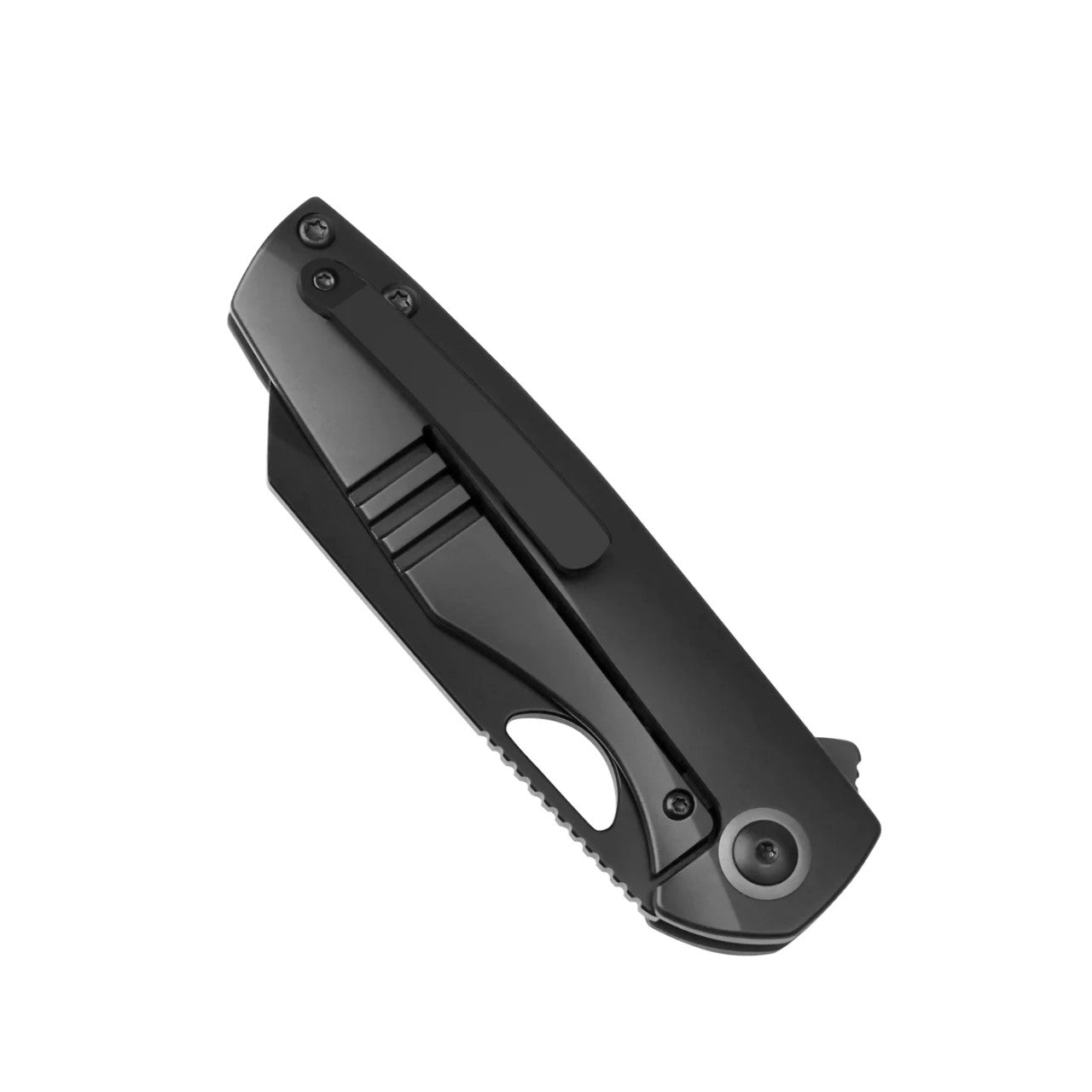 Kizer ~ Sparrow